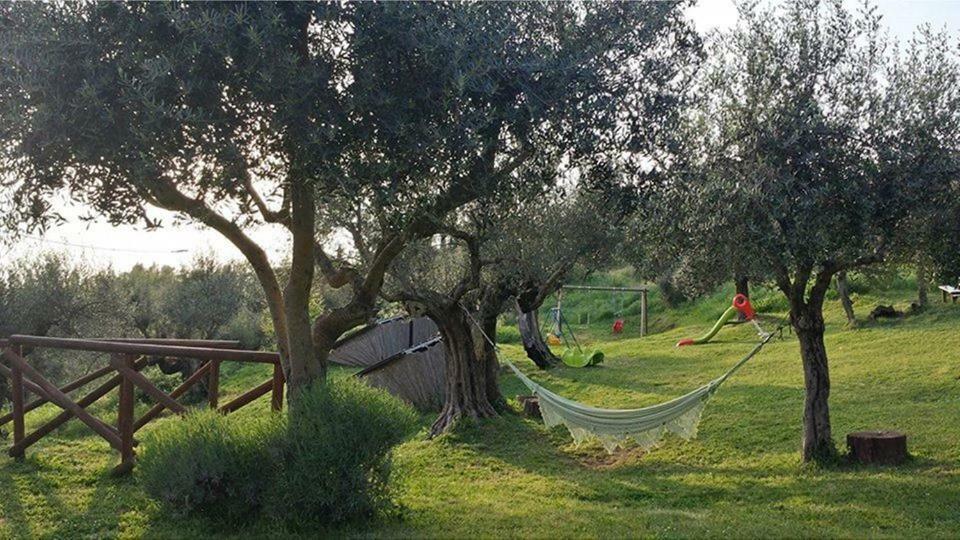 Fattoria Il Poggio Villa San Feliciano Luaran gambar