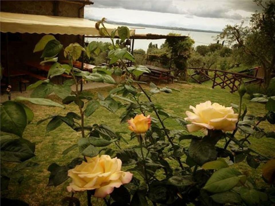 Fattoria Il Poggio Villa San Feliciano Luaran gambar